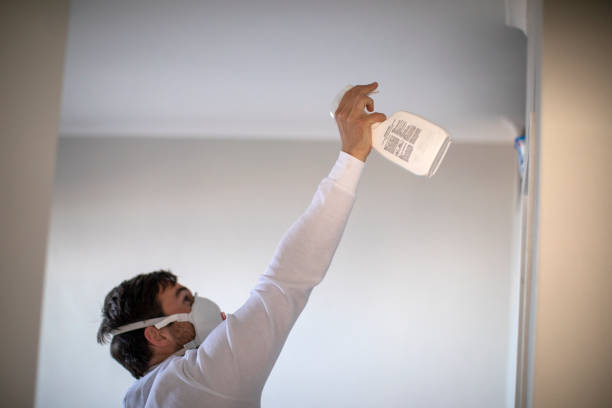 Best Certified Mold Removal  in Kalida, OH