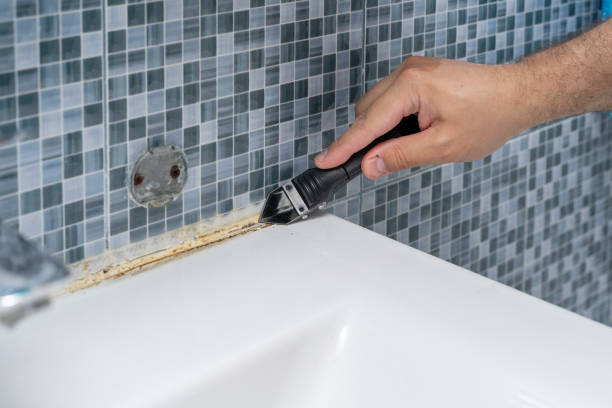 Best Local Mold Removal Service  in Kalida, OH