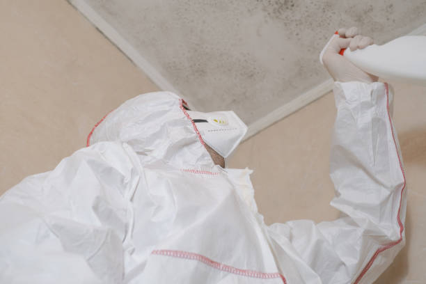 Best Mold Cleaning Services  in Kalida, OH