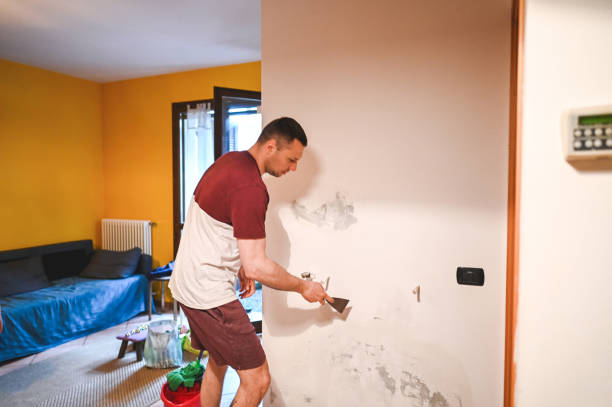 Best Best Mold Removal Companies  in Kalida, OH